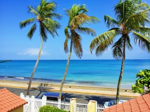 View from Tres Palmas Inn